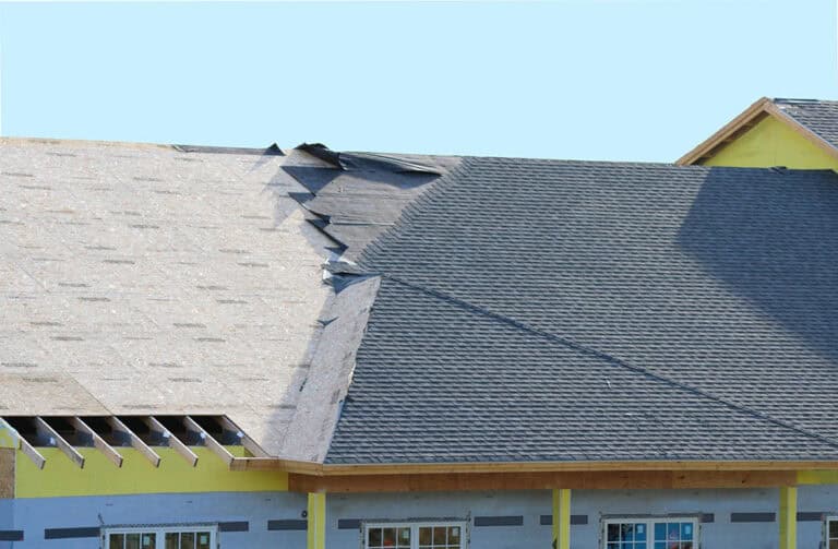 Elite-Edge-Roofing-Roof-5